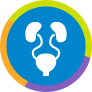 urology icon