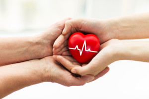 Living Donation Versus Organ Donation: What’s the Difference?