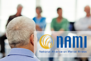NAMI San Diego Partnership Profile