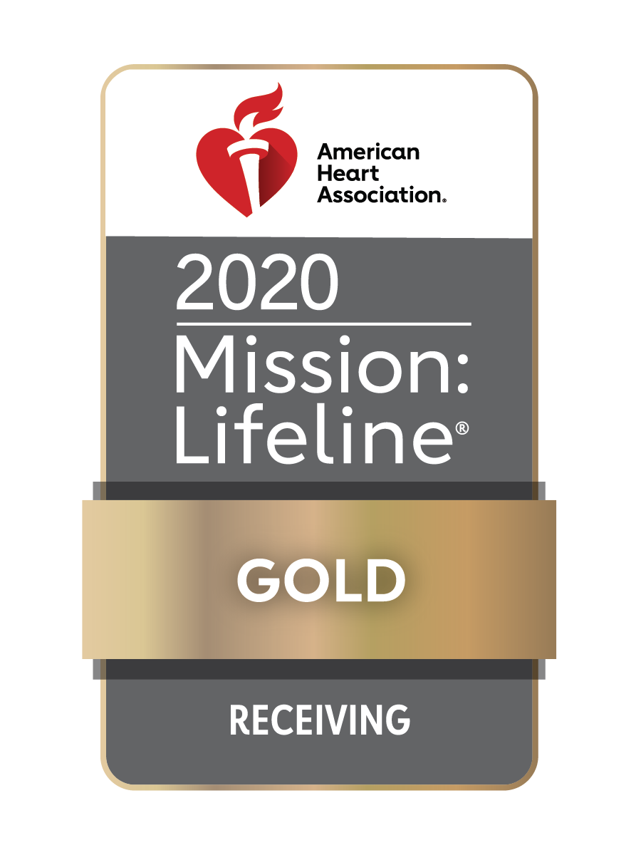 Mission-Lifeline-Icon-2015-Gold